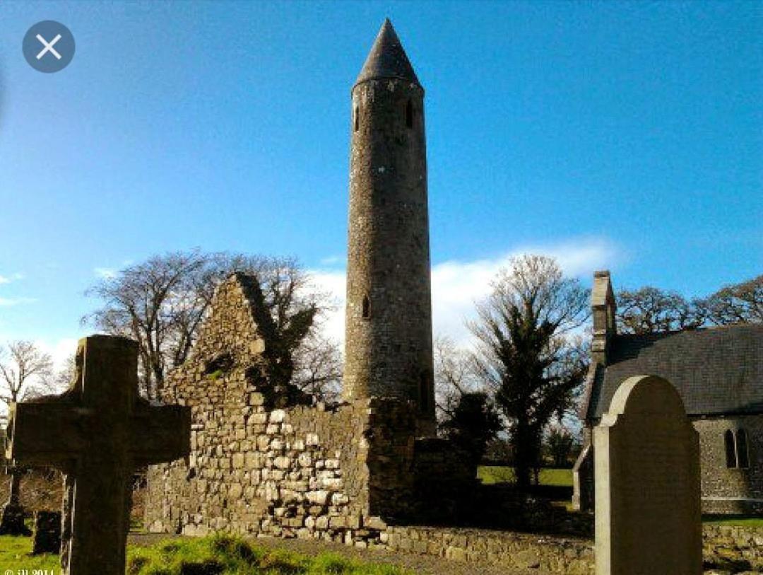 Oak House Laois B&B Portarlington Zewnętrze zdjęcie
